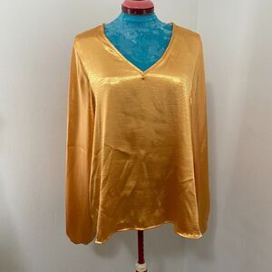 Blue Buttercup Satin Boho Long Sleeve V-neck NWT Womens Top Size S